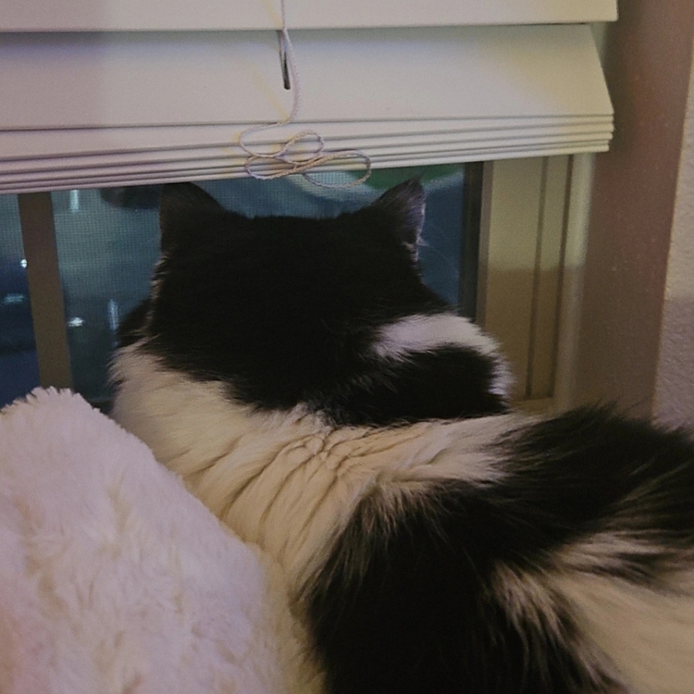 Meet your Posher, Jasmine